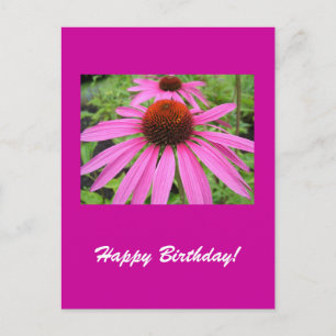 schöne rosa violette Blumen Postkarte