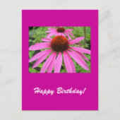 schöne rosa violette Blumen Postkarte (Vorderseite)