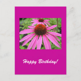 schöne rosa violette Blumen Postkarte