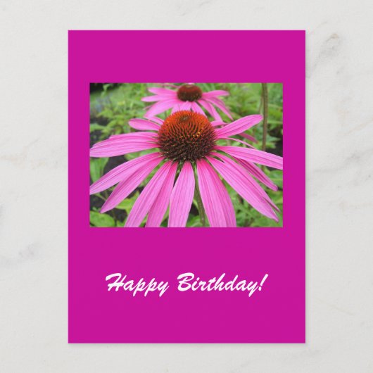 schöne rosa violette Blumen Postkarte (Vorderseite)