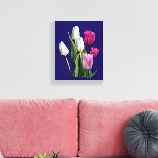 Schöne, rosa, weiße Tulpen, blühend Leinwanddruck (Insitu (Wohnzimmer))