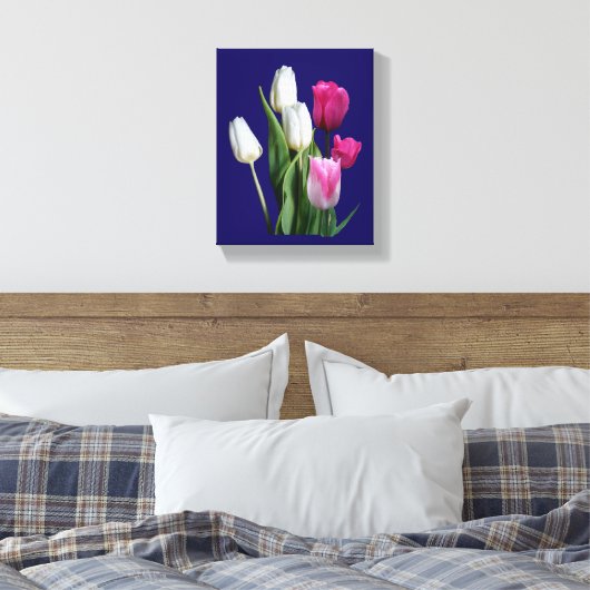 Schöne, rosa, weiße Tulpen, blühend Leinwanddruck (Insitu (Schlafzimmer))
