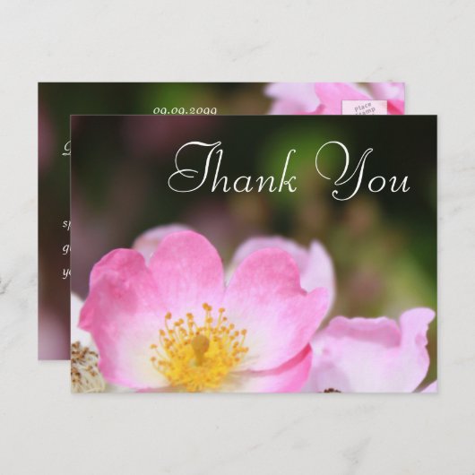 schöne rosa wilde Rose Blume Hochzeit danke Postkarte (Vorne/Hinten)
