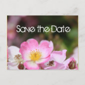 schöne rosa wilde Rose Blume Hochzeit speichern da Ankündigungspostkarte (Vorderseite)