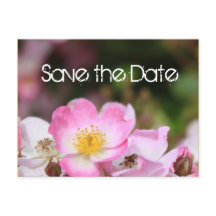 schöne rosa wilde Rose Blume Hochzeit speichern da