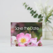 schöne rosa wilde Rose Blume Hochzeit speichern da Ankündigungspostkarte (Stehend Vorderseite)