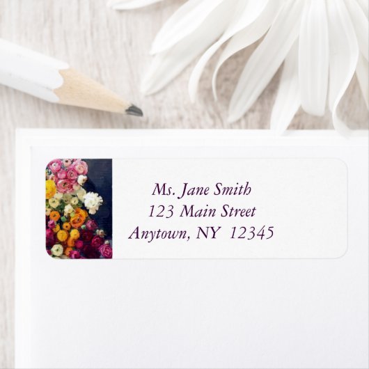 Schöne Rose (Insitu)