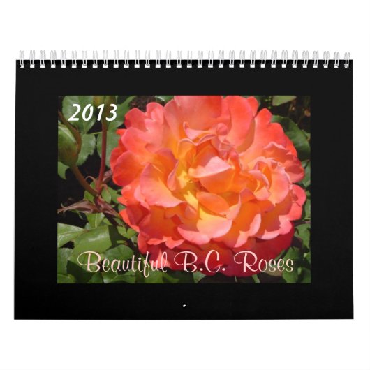 Schöne Rose 2013 Kalender (Titelbild)