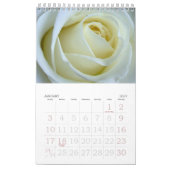 Schöne Rose 2021 Kalender (Jan 2027)