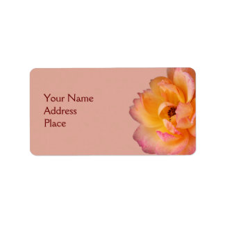 Schöne Rose Adressaufkleber
