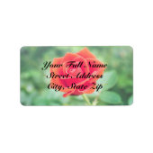 Schöne Rose Adressaufkleber (Vorne)