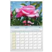 Schöne Rose Blume Kalender (Jan 2027)