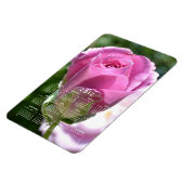 Schöne Rose Bud Calendar Magnet (Linke Seite)