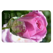 Schöne Rose Bud Calendar Magnet (Horizontal)