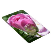 Schöne Rose Bud Calendar Magnet (Rechte Seite)