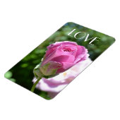 Schöne Rose Bud Liebe Magnet (Linke Seite)