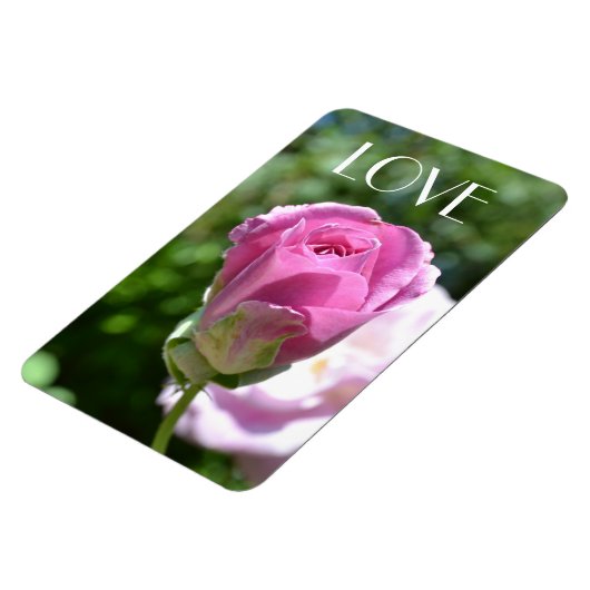 Schöne Rose Bud Liebe Magnet (Linke Seite)