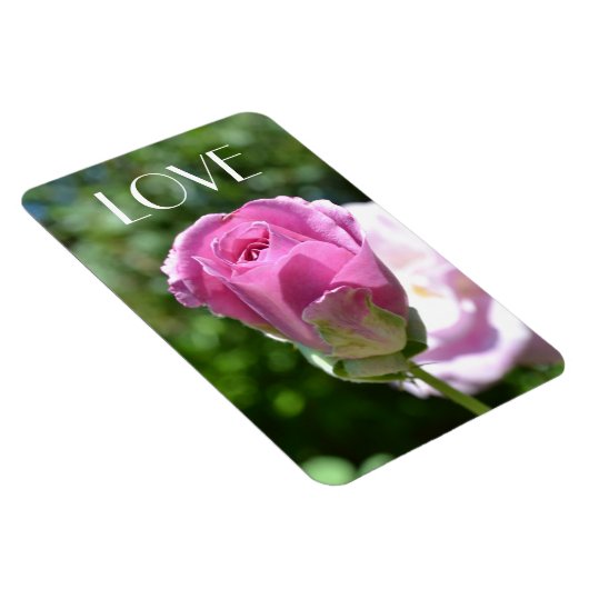 Schöne Rose Bud Liebe Magnet (Rechte Seite)