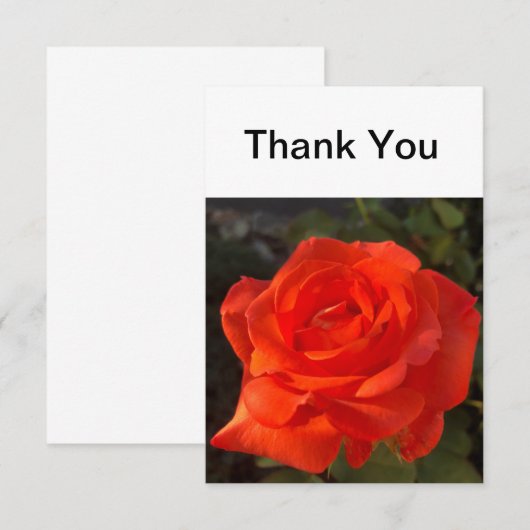 Schöne Rose Dankeskarte (Vorne/Hinten)