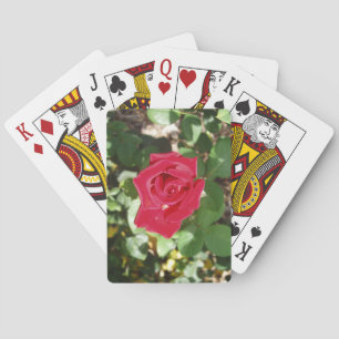 Schöne Rose Deck Spielkarten