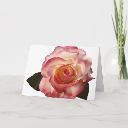 Schöne Rose Grußkarte. Karte (Vorderseite)