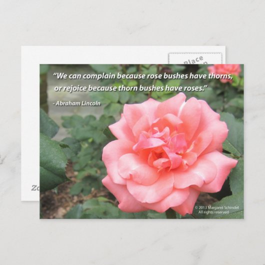 Schöne Rose in Bloom Postcard mit Lincoln Zitat Postkarte (Vorne/Hinten)