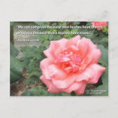 Schöne Rose in Bloom Postcard mit Lincoln Zitat Postkarte (Vorderseite)
