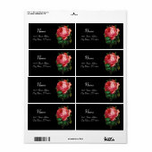 SCHÖNE ROSE IN SCHWARZ (Vorne)