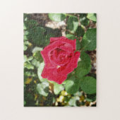 Schöne Rose Jigsaw Puzzle (Vertikal)