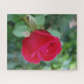 Schöne Rose Jigsaw Puzzle (Horizontal)