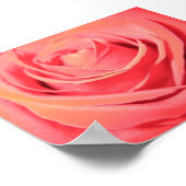 Schöne Rose Leinwand Poster (Ecke)