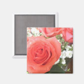 Schöne Rose Magnet (Vorderseite/Rückseite)