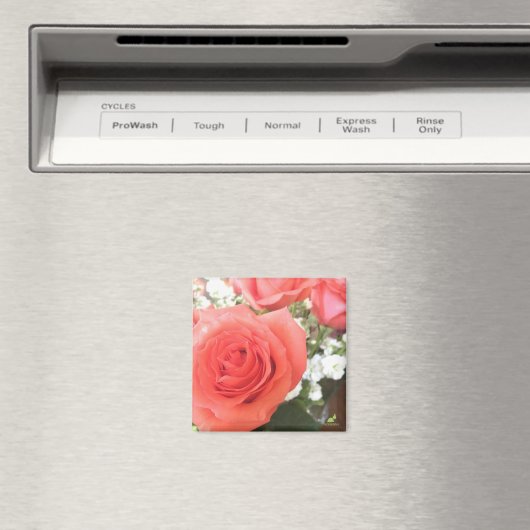 Schöne Rose Magnet (In Situ (Geschirrspüler))