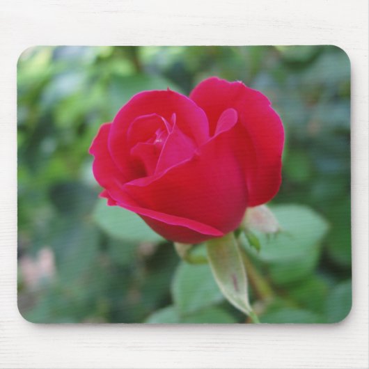 Schöne Rose Mouse Mat Mousepad (Vorne)