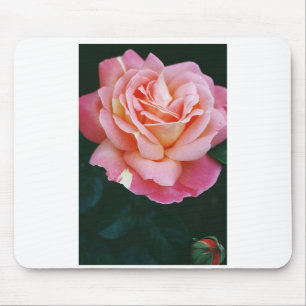 Schöne Rose Mousepad
