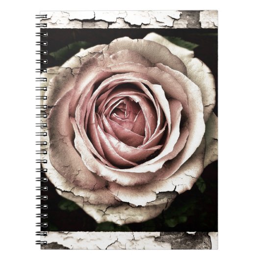 Schöne Rose Notizblock (Vorderseite)
