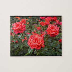 Schöne Rose, Portland, Oregon Puzzle