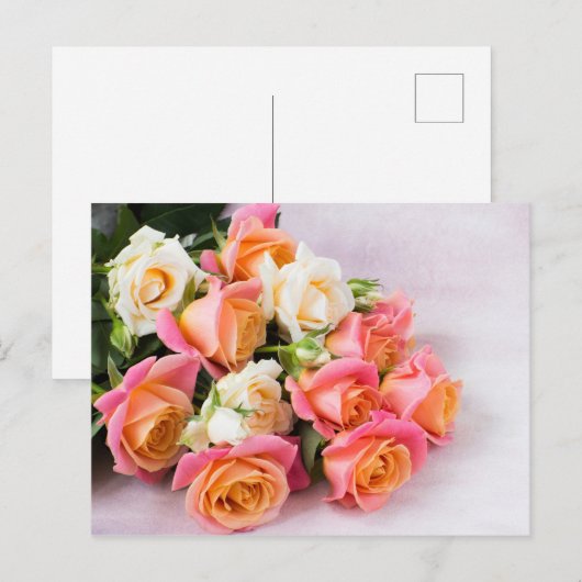 Schöne Rose Postkarte (Vorne/Hinten)