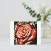Schöne Rose Postkarte (Stehend Vorderseite)