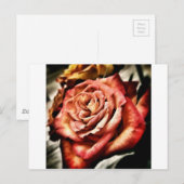 Schöne Rose Postkarte (Vorne/Hinten)