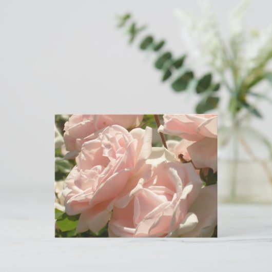 Schöne Rose Postkarte (Stehend Vorderseite)