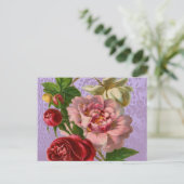 Schöne Rose Postkarte (Stehend Vorderseite)