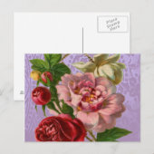 Schöne Rose Postkarte (Vorne/Hinten)