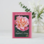 Schöne Rose Postkarte (Stehend Vorderseite)