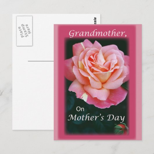 Schöne Rose Postkarte (Vorne/Hinten)