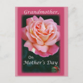 Schöne Rose Postkarte (Vorderseite)