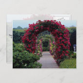 Schöne Rose Postkarte (Vorne/Hinten)