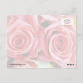 Schöne Rose Postkarte (Rückseite)
