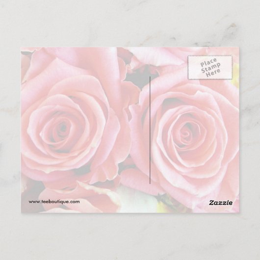 Schöne Rose Postkarte (Rückseite)