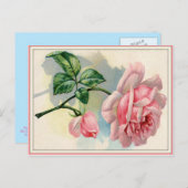 Schöne Rose Rosa, graue Postkarte horizontal (Vorne/Hinten)